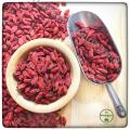 Goji bacche Tibet 100g