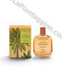 Nettare di Dattero Profumo 100ml L ERBOLARIO