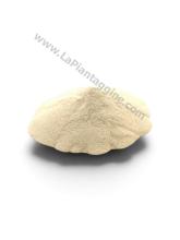 Erbe sfuse Agar Agar povere 100g