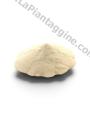 Agar Agar povere 100g